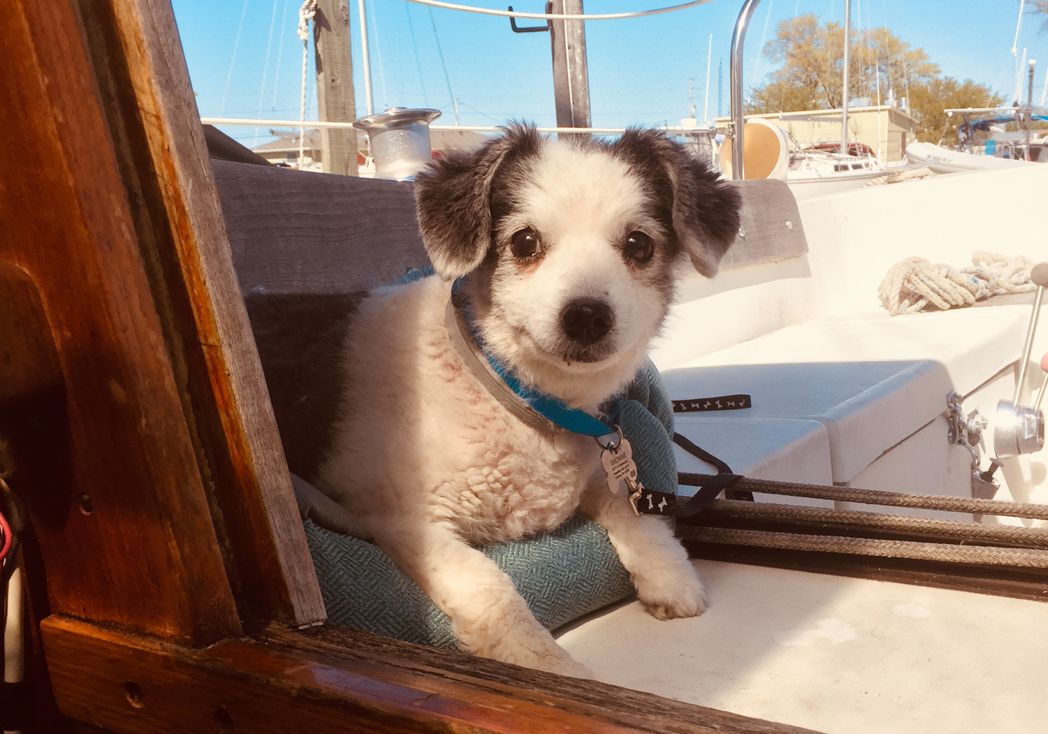 Read more about the article Sailin’ Pics (38 Photos)