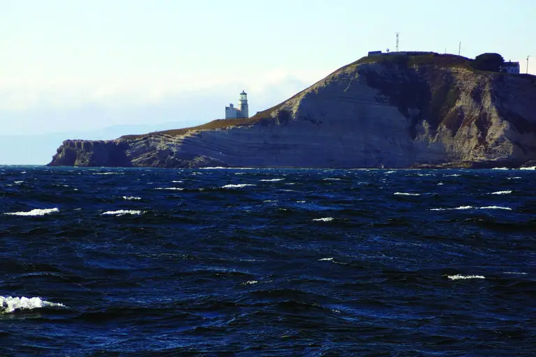 Read more about the article Cruising the California Coast
