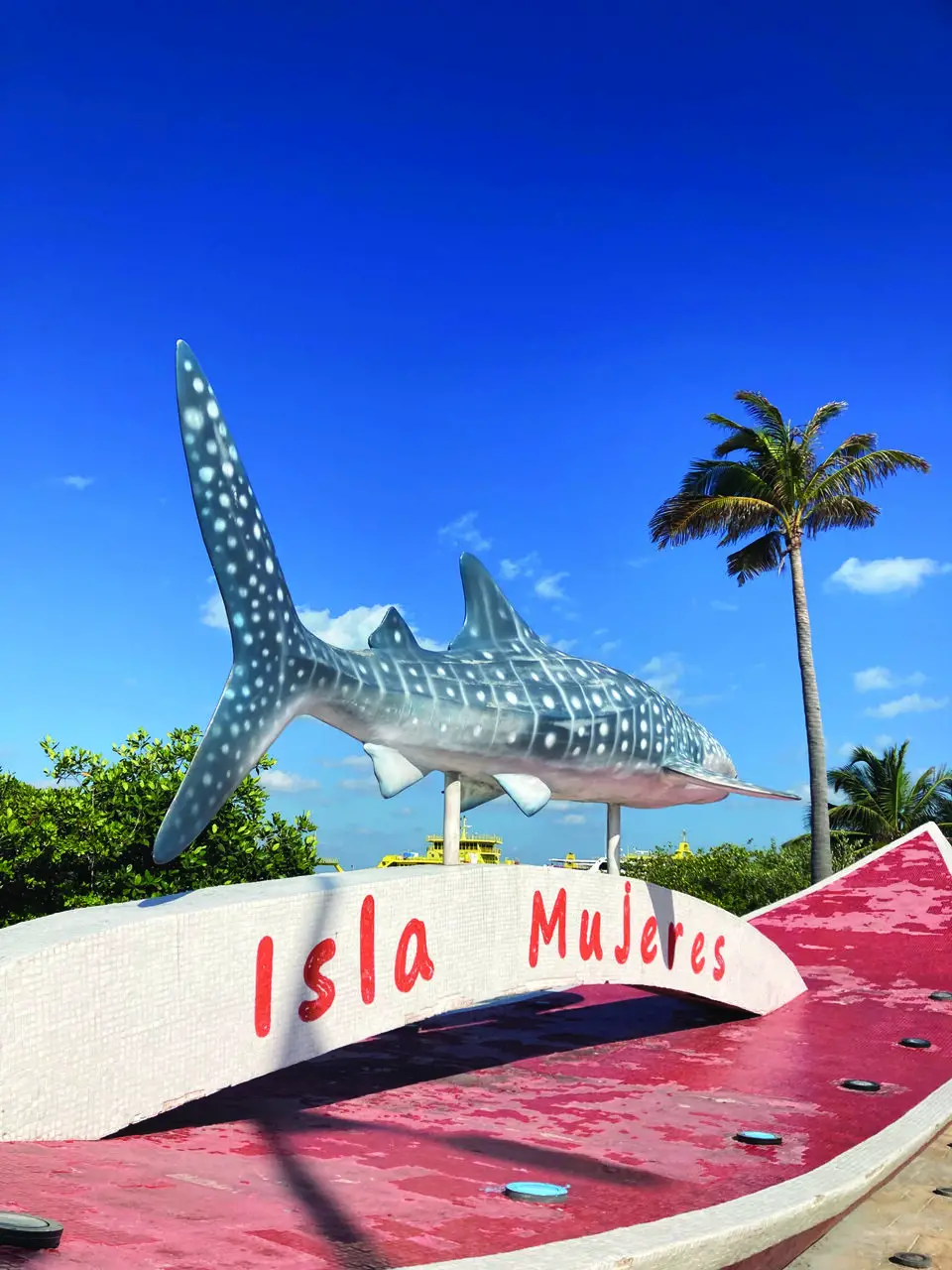 Read more about the article A Trip to Mexico