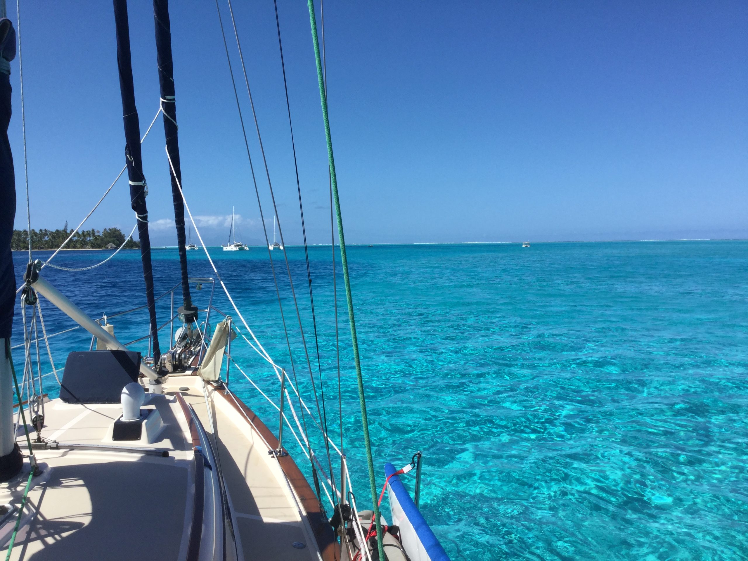 Read more about the article What a Drag: Learn From My Anchoring Mistakes