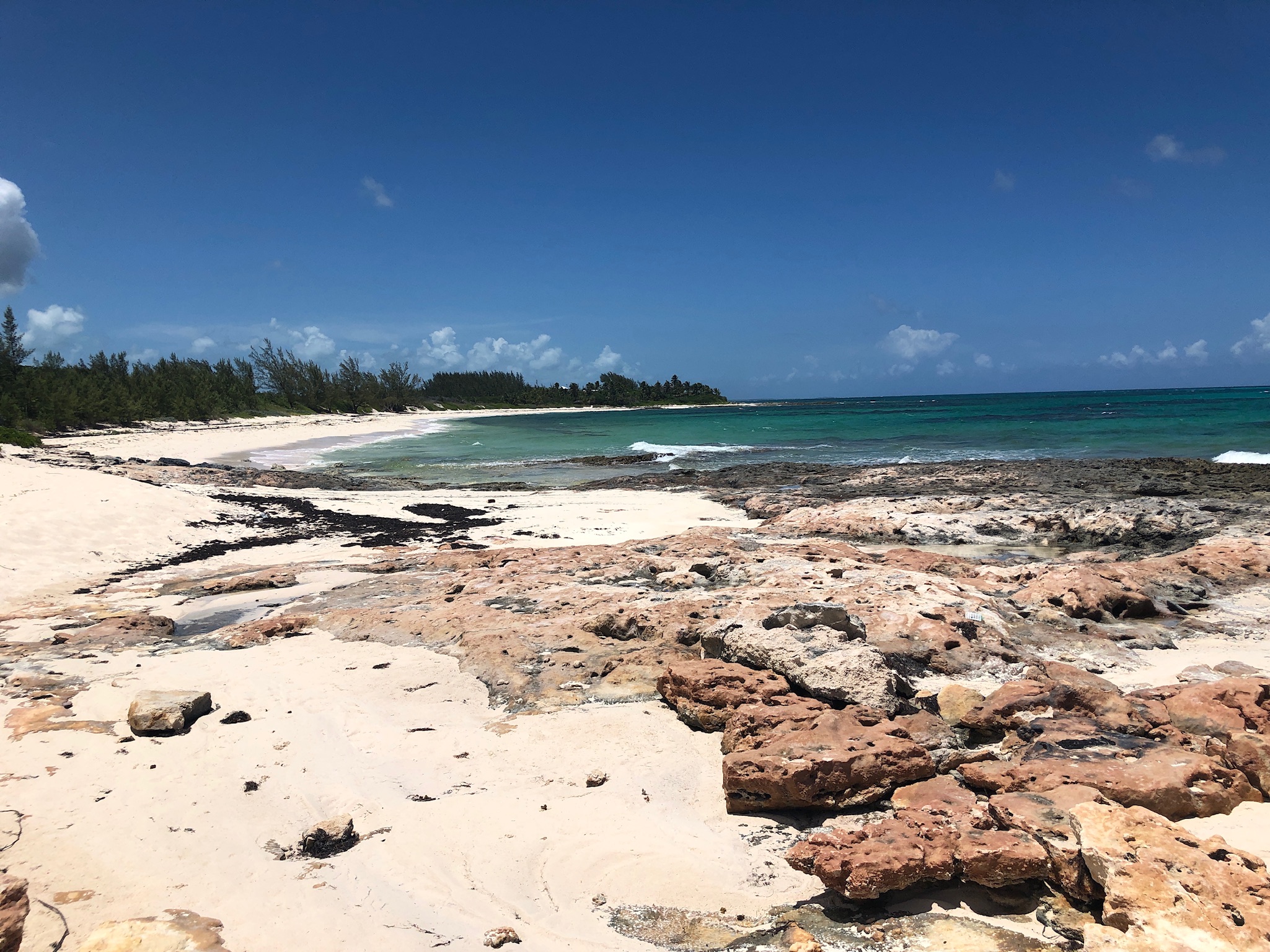 Read more about the article To Eleuthera…With Love