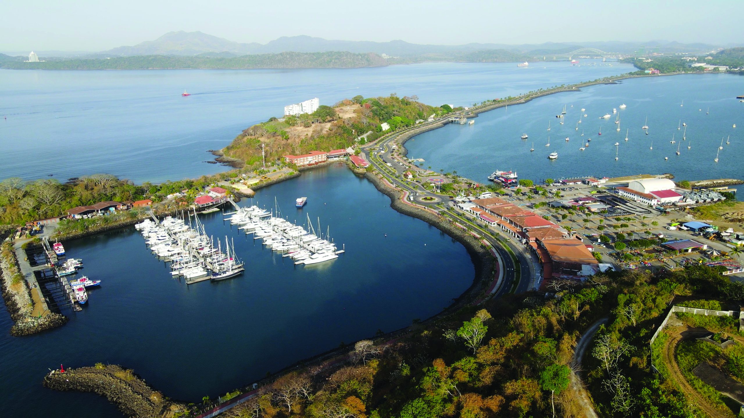 Read more about the article Panama