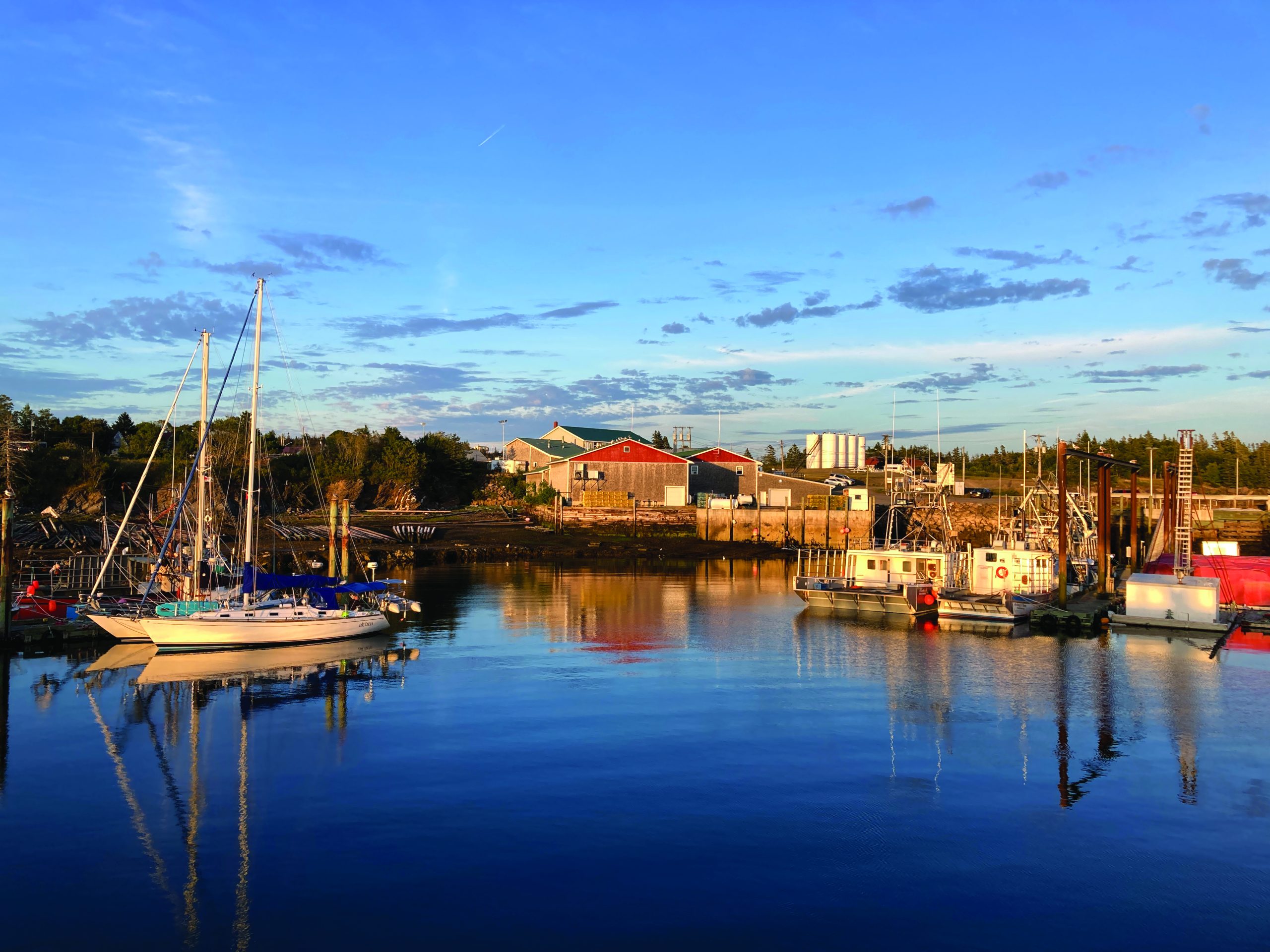 Read more about the article Bay of Fundy