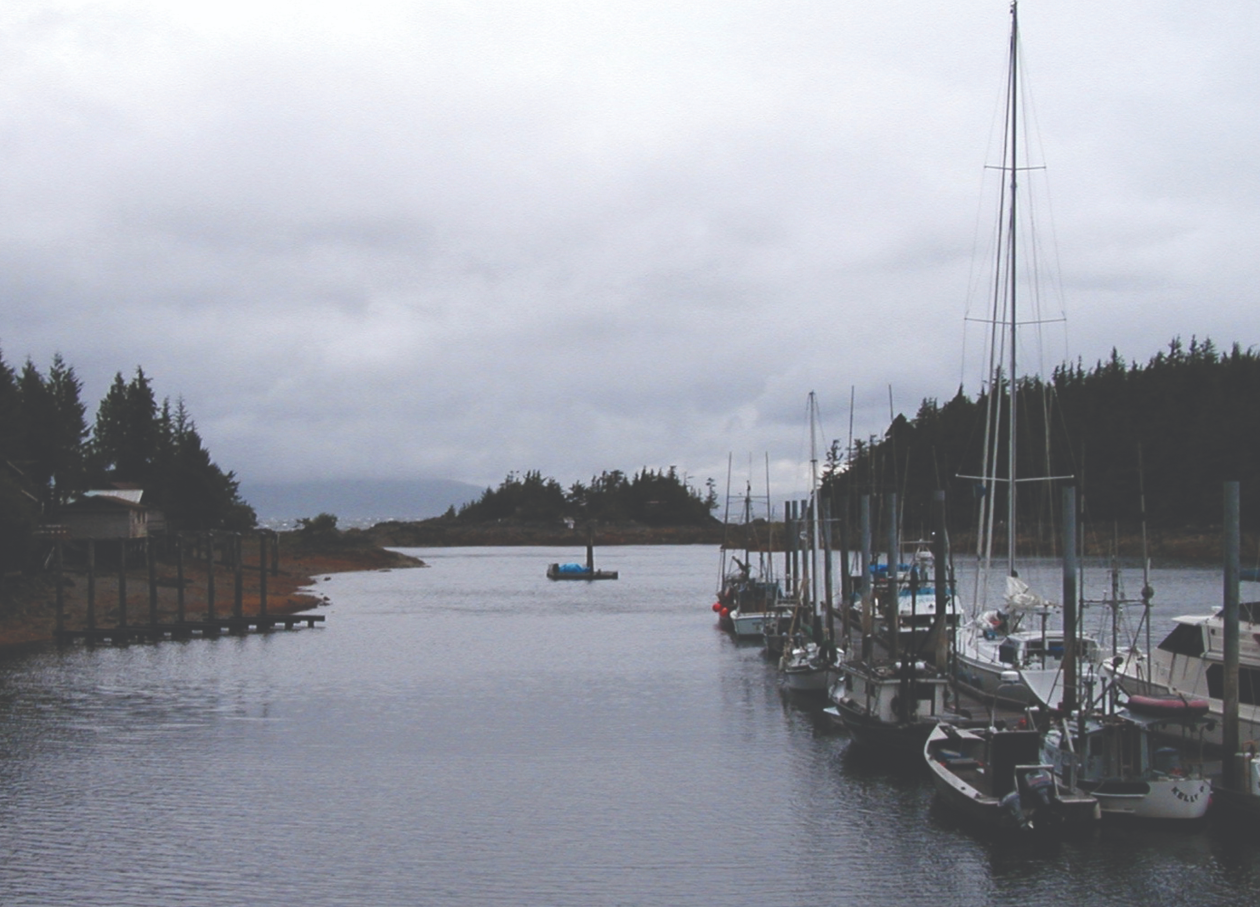 Read more about the article A Long Day on the Inside Passage