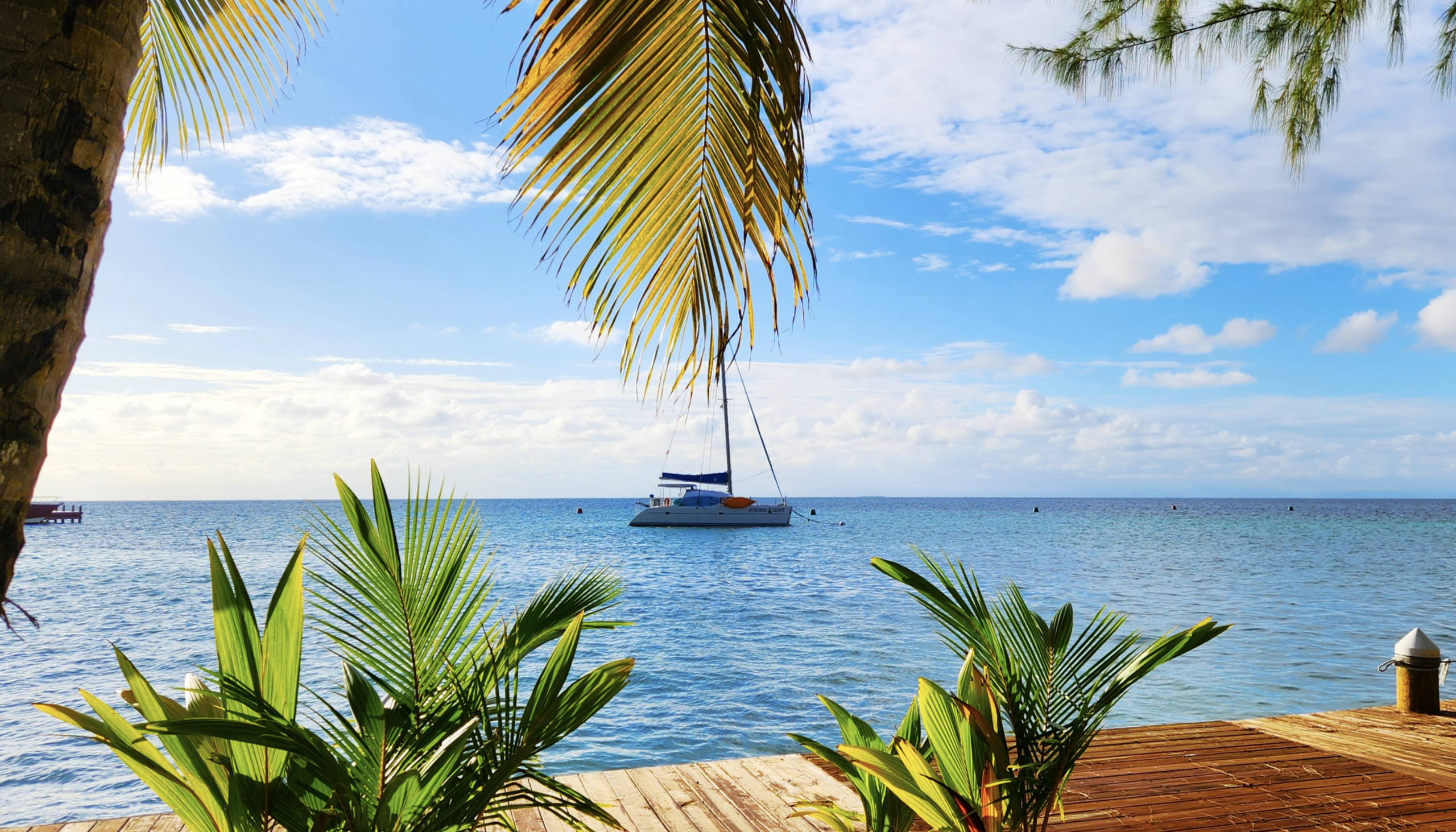 Read more about the article Cruising Our Way Down Belize