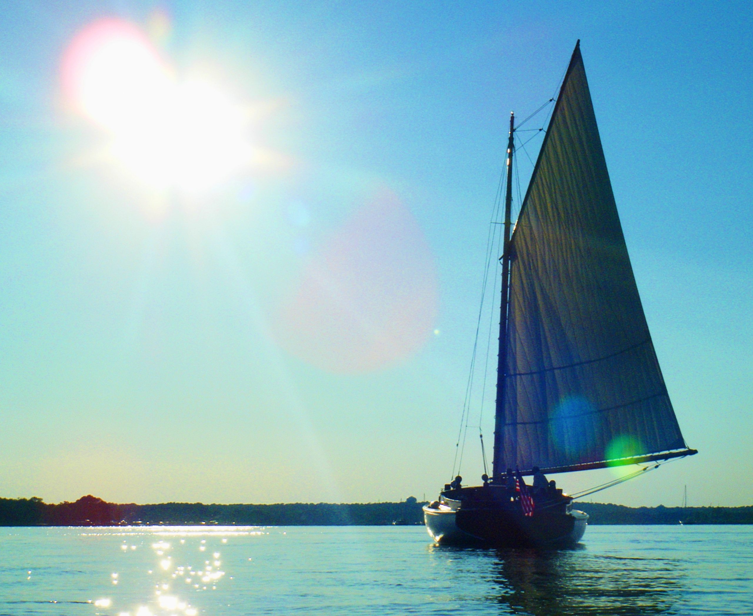 Read more about the article Sail Selina II: Four Generations, One Grand Cat